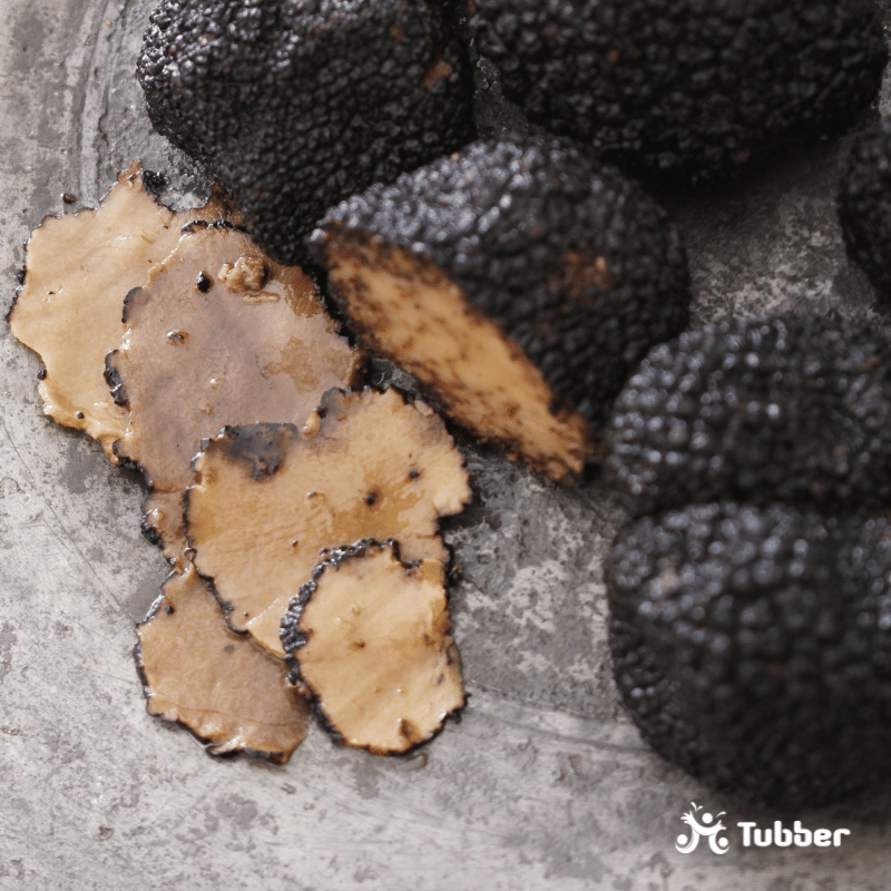 Fresh black truffles