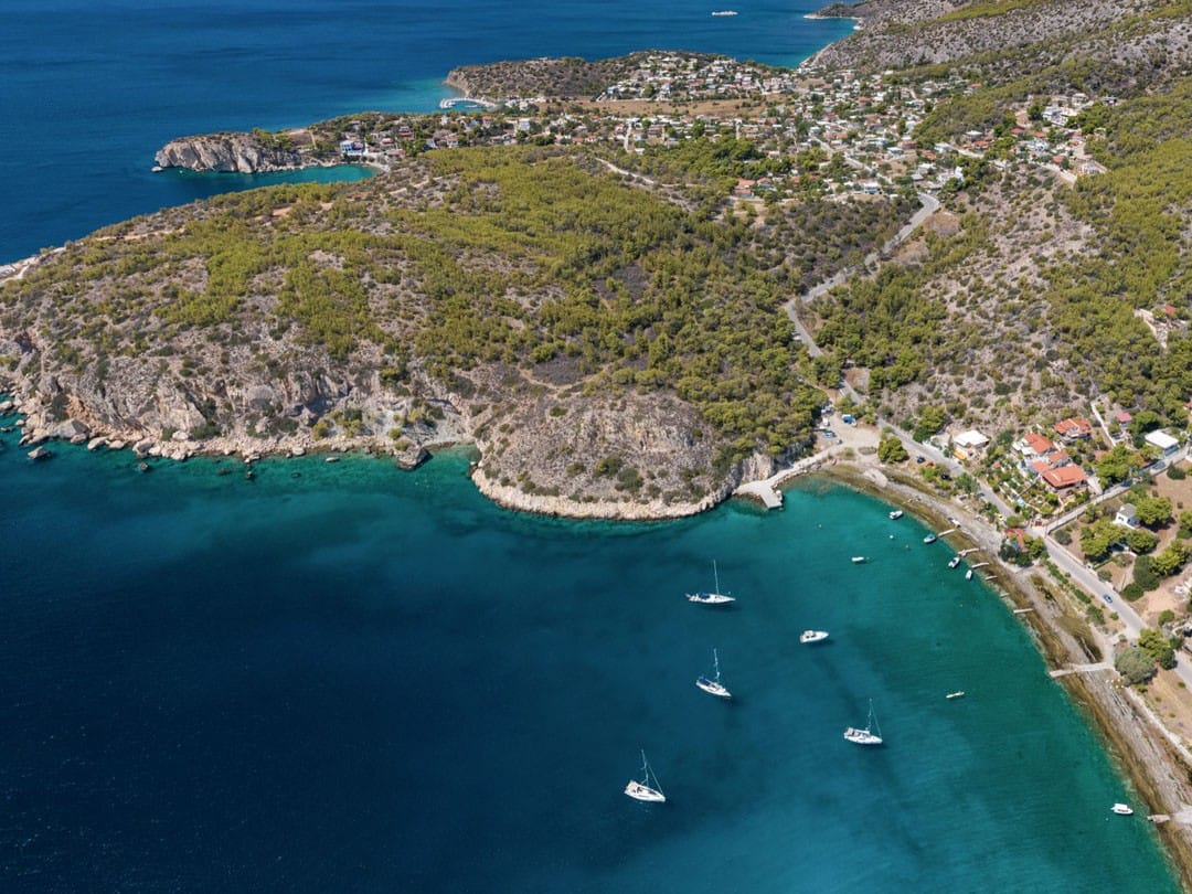 Peristeria BNay