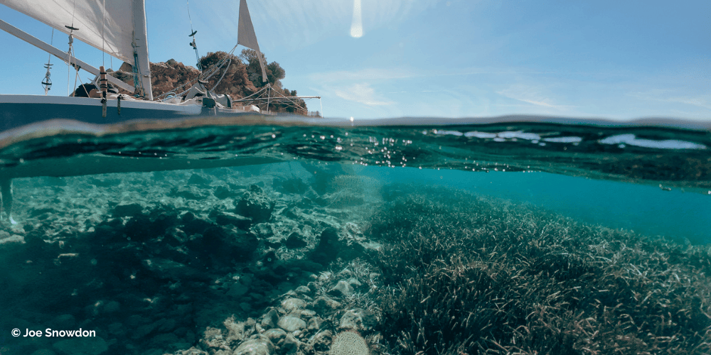 Iate à vela acima da água com ervas marinhas abaixo da superfície
